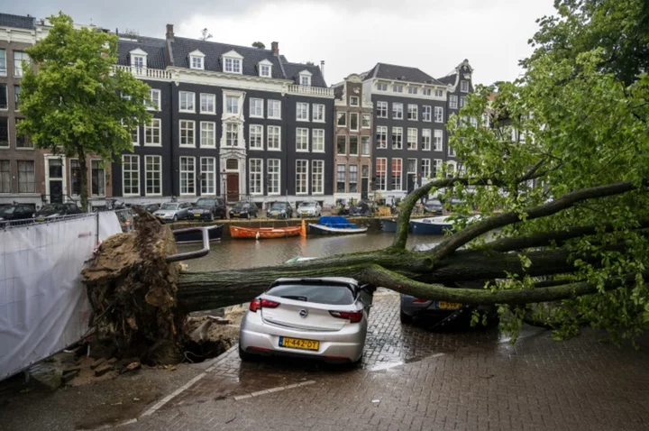 Record storm cost up to 100 mn euros in damage: Dutch insurers