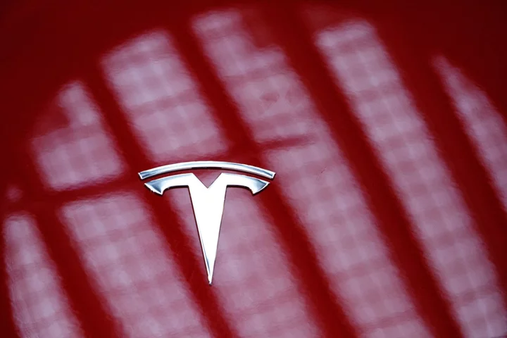 Tesla Unlikely to Pursue Indonesia Plant Soon, Panjaitan Says