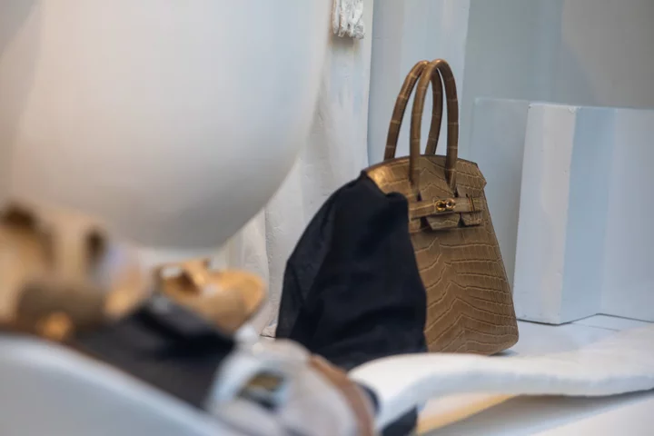 Hermes Sales Climb as US, Europe Shoppers Splurge on Birkin Bags