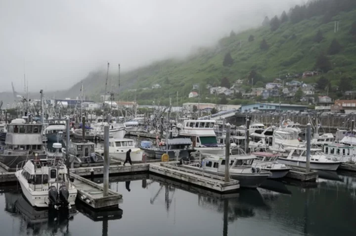 Alaska fishermen will be allowed to harvest lucrative red king crab in the Bering Sea