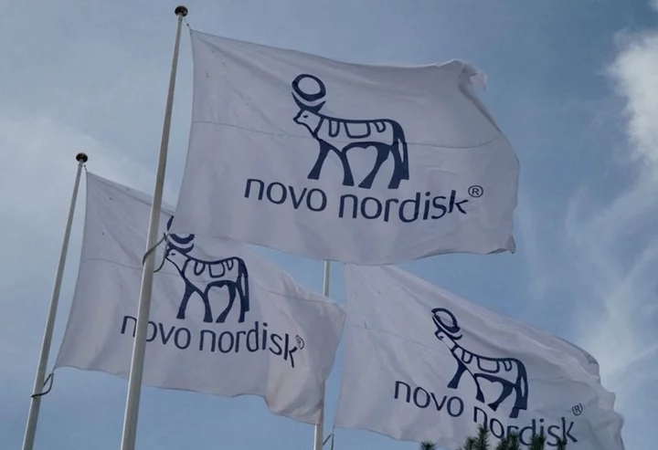 Drugmaker Novo Nordisk seeks obesity, diabetes 'bolt-on' deals