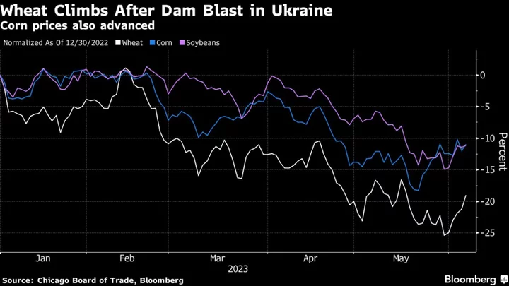 Wheat Jumps on Dam Blast as Fighting Escalates in Ukraine