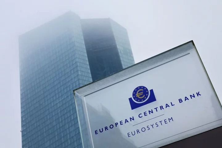 ECB zeroes in on struggling borrowers and forex as times get tougher