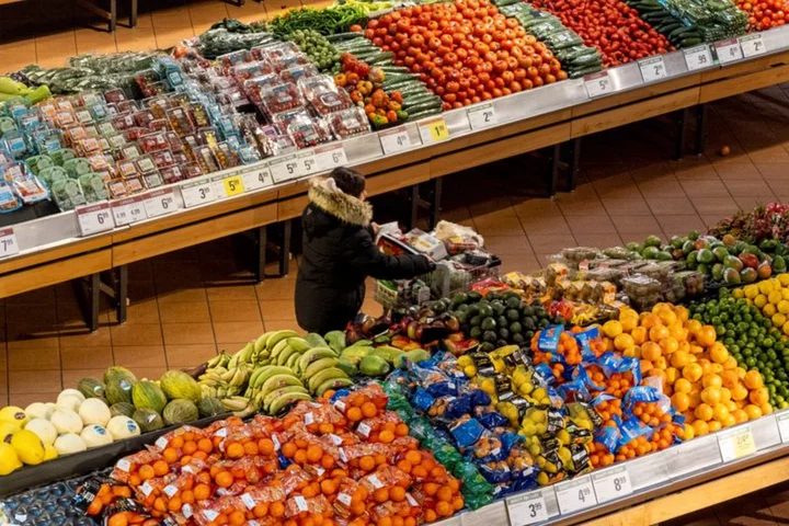 Canada plans to amend competition laws to control rising food prices