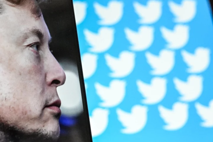 Twitter starts paying…but only Elon Musk's favorite creators