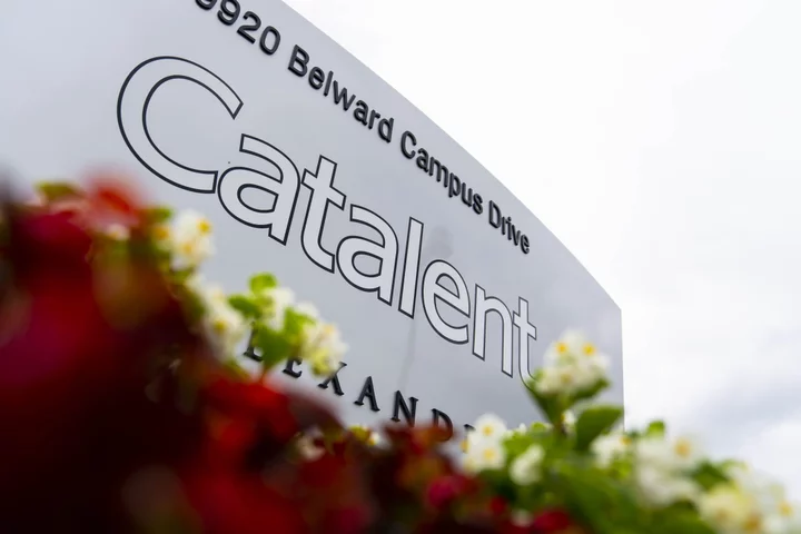 Catalent Cuts Annual Forecast More Than Expected, Delays Earnings Report Again