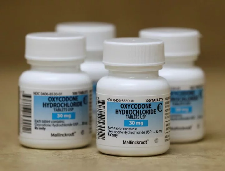 Bankrupt drugmaker Mallinckrodt considers sale of opioid business - WSJ