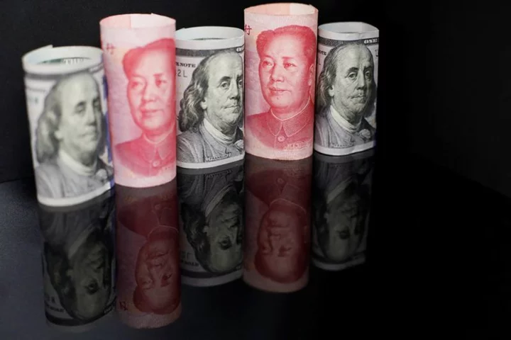 Dollar in holding pattern as US inflation test looms; PBOC supports yuan