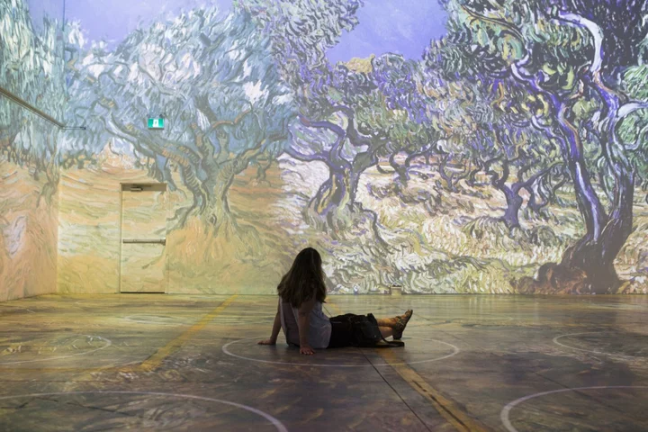 Company Behind Immersive Van Gogh Exhibit Files for Bankruptcy
