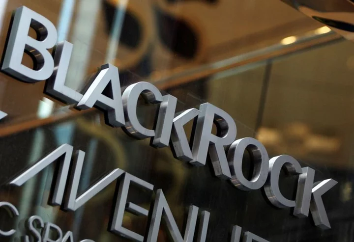 BlackRock continues lowering support for environmental and social proposals