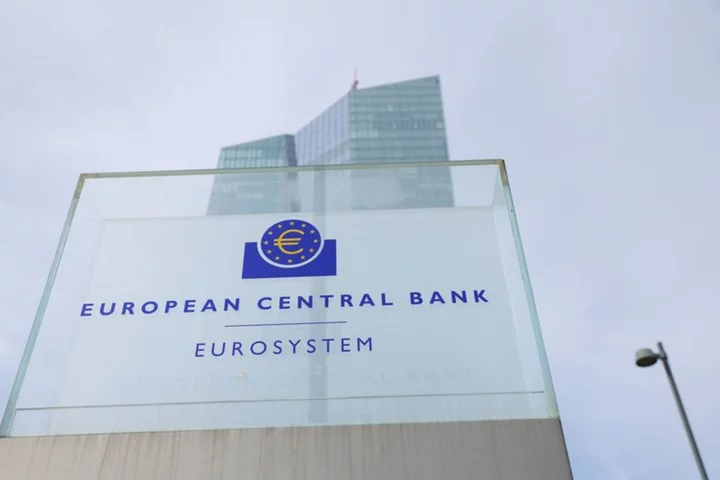 Analysis-ECB throws markets crumbs of comfort against a turbulent backdrop
