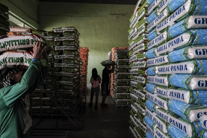 Philippines May Scrap Rice Price Cap Soon as Harvest Starts