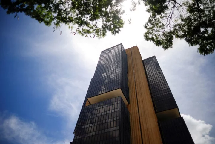 Brazil central bank board nominees defend government's economic policies