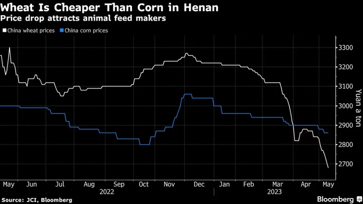 China May Cancel More US Corn in Shift to Cheaper Brazil Cargoes