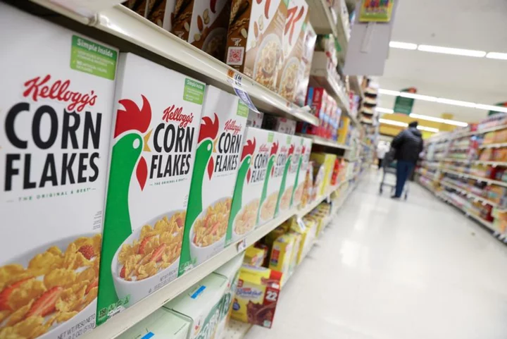Kellogg's 'woke' workplace diversity programs are illegal, group claims
