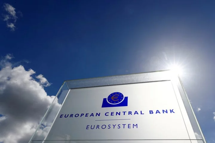 ECB hawks make case for erring on the side of raising rates too high