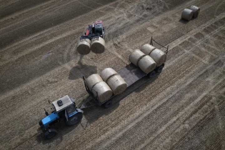 EU faces deadline on extending Ukrainian grain ban as countries threaten to pass their own