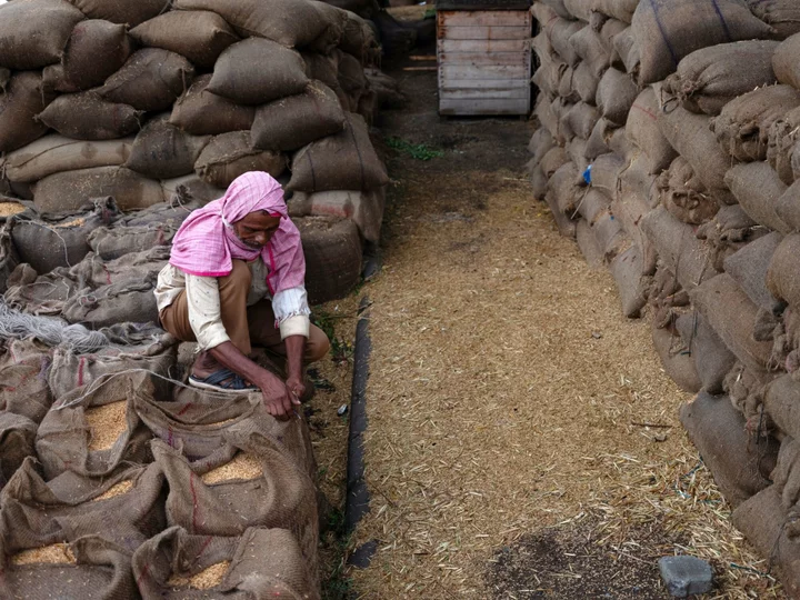 India Seen Keeping Rice Export Bans Into 2024, Holding Up Global Prices