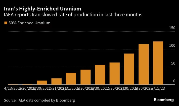 Iran Slows Uranium Production After Secret Diplomacy