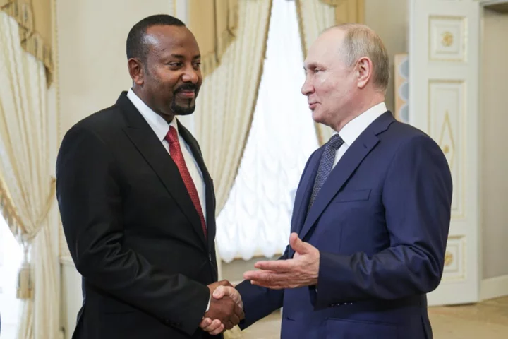 Putin hosts African leaders in Russia after grain deal exit