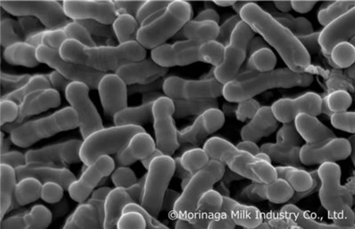 Morinaga Milk’s Probiotic Bifidobacterium breve B-3 Receives Approval of Individual Recognized Registration in South Korea