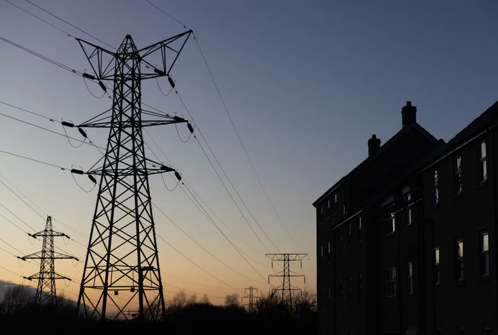 UK Can Build New Power Lines in Half the Time, Top Adviser Says