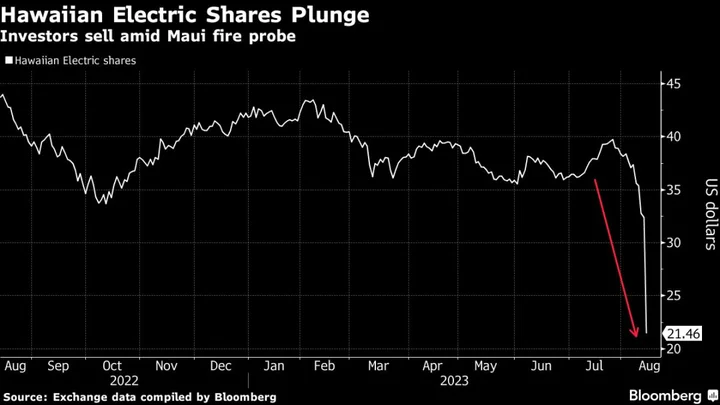 Hawaiian Electric Extends Record Slump With Another 20% Drop