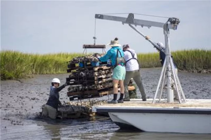 Yamaha Rightwaters™, Georgia Southern University Launch New Initiative to Analyze the Role of Restored Oyster Reefs for Carbon Sequestration