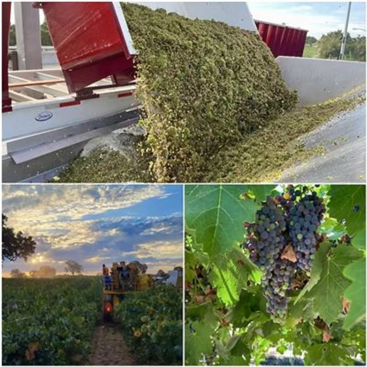 California 2023 Winegrape Harvest Promises High Quality Despite the Late Start