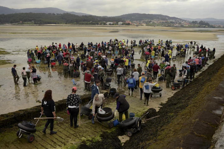 AP PHOTOS: As Spain's 'peasant farmers of the sea,' groups of women dig for clams
