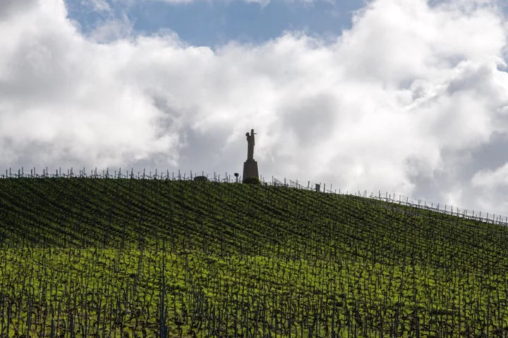 French Family Vineyards Imperiled by Historic Inheritance Taxes