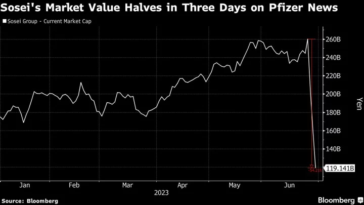 Pfizer’s Exit Halves Japan Biotech Firm Value In Just Three Days