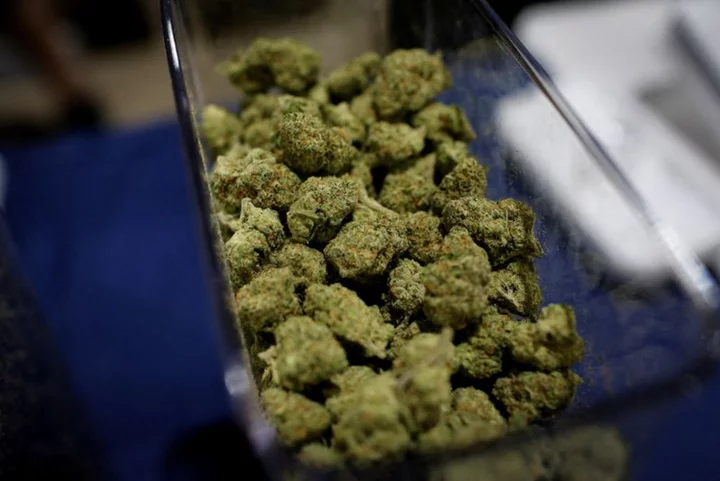 Trulieve Cannabis posts lower first-quarter revenue