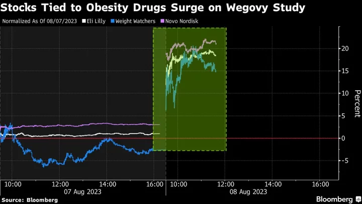 Weight-Loss Stocks Soar After Obesity-Drug Study Spurs Investor Frenzy