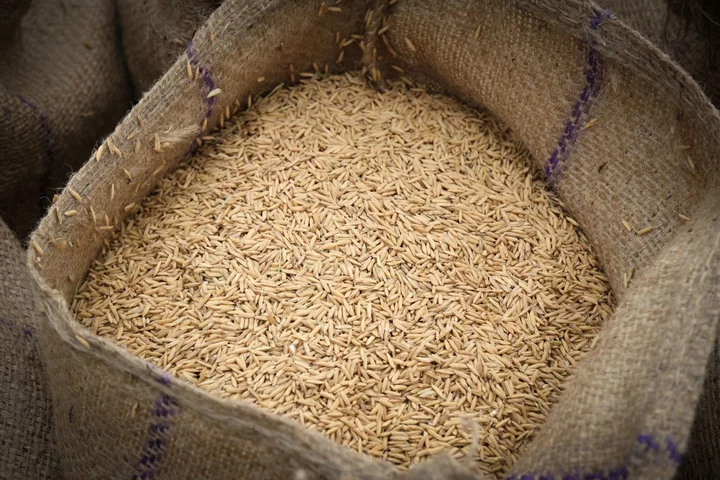 India Allots $142 Billion for Free Grains to 800 Million People