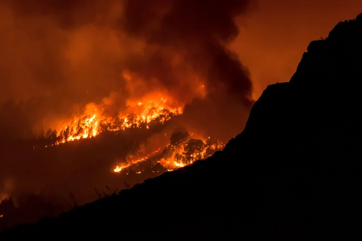 Heat Stifles Parts of Europe as Tenerife Fires Force Evacuations