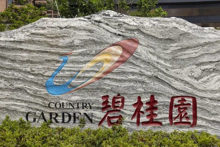 Ping An Sold Country Garden Stake, Has No Plans for Takeover