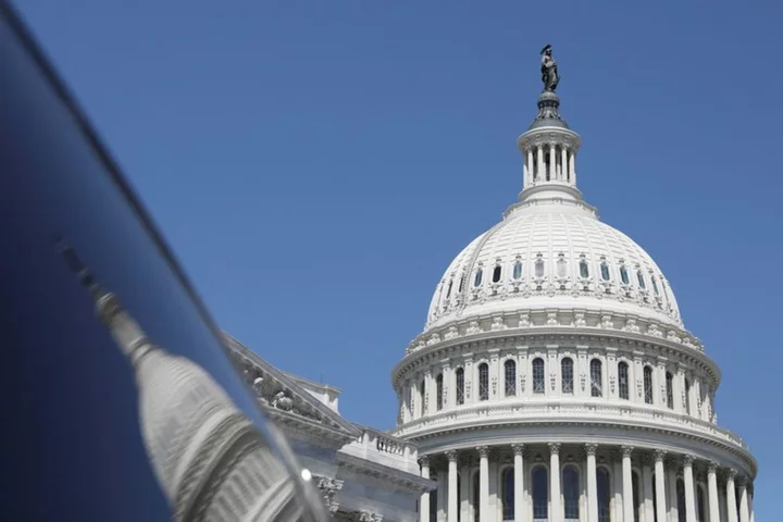 Senators propose banning stock trades for US Congress, president