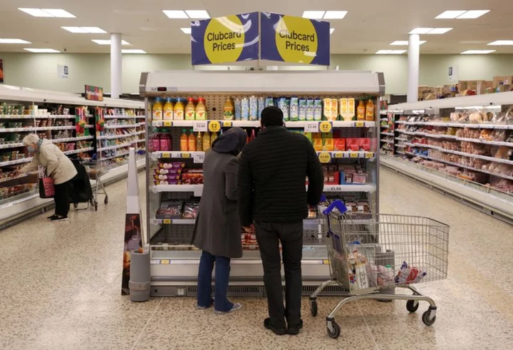 Analysis-Price drop fears put a brake on European grocers' rally