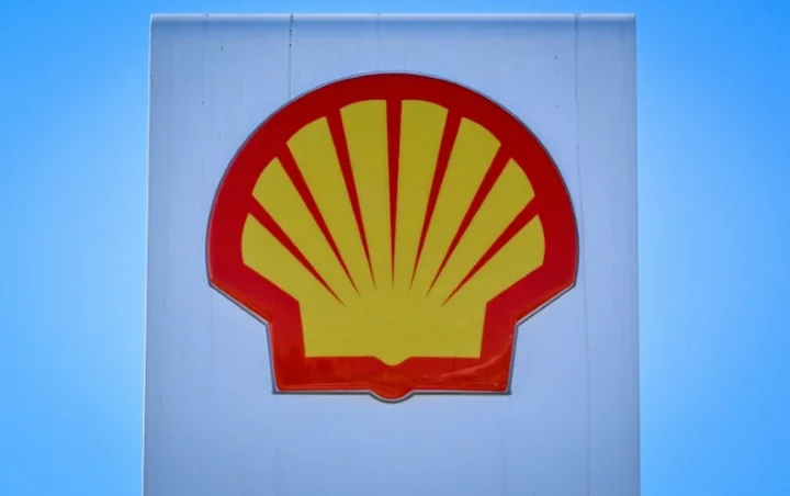 Shell wins legal case over Nigeria oil spill