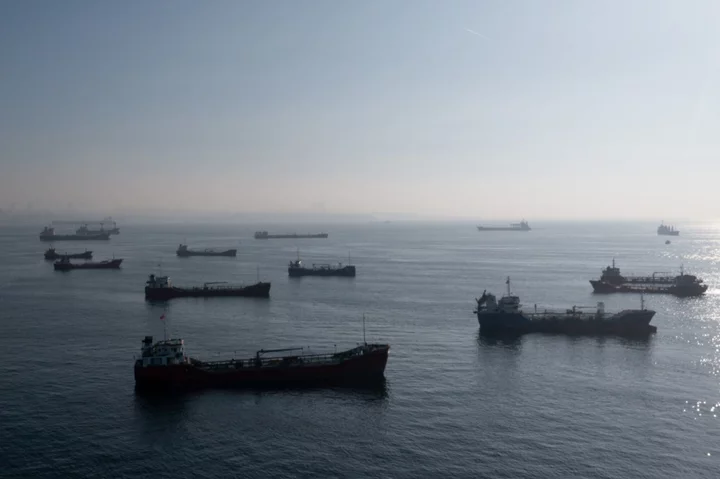 Russia Could Attack Civilian Grain Ships in Black Sea, US Warns