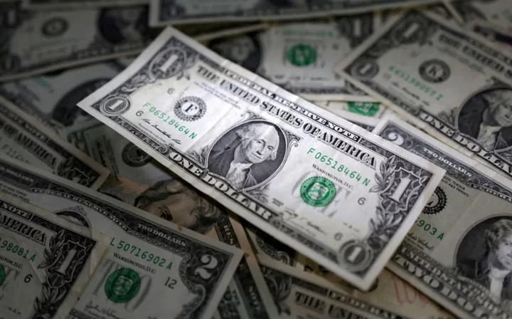 Dollar gains after Fed hike hint; yen tumbles