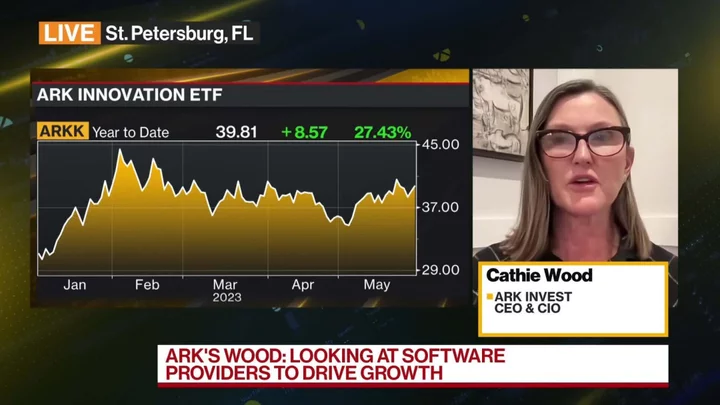 Cathie Wood Says Software Stocks Are Next AI Bet After Nvidia