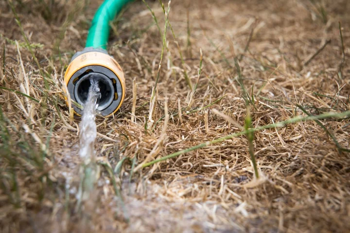 UK Hosepipe Ban Planned for Southeast Due to Record Water Demand