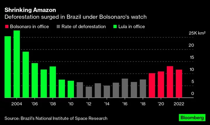 Lula Enlists Neighbors in Brazil’s Battle to Save the Amazon