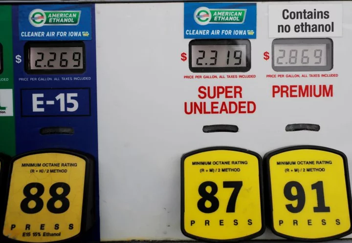 US EPA seeks short-term delay to biofuel blending mandate final rule, sources say