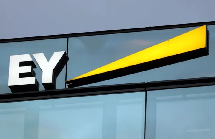 TPG approaches EY about buying stake in consulting arm - FT