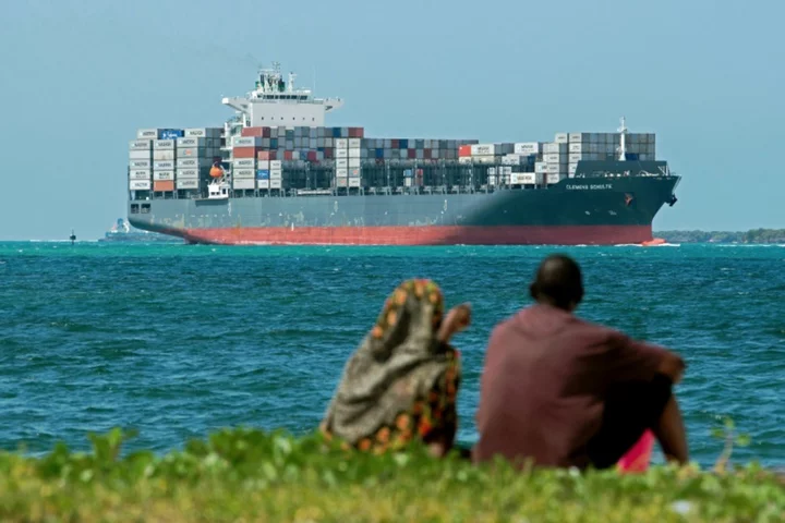 Rights groups urge Tanzania to free critics of UAE port deal