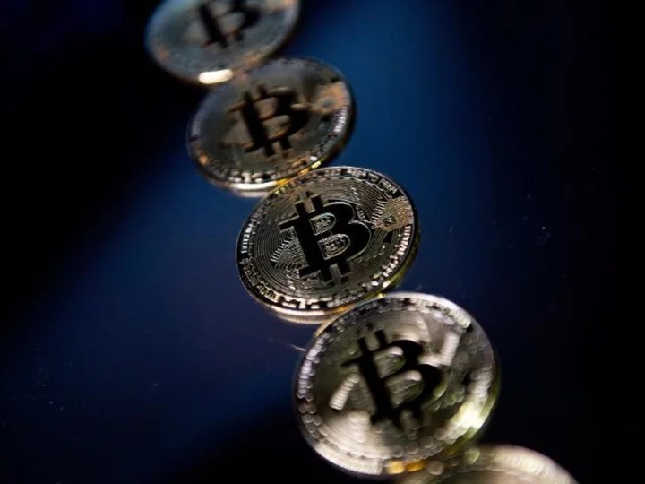 'Bitcoin Bonnie and Clyde' plead guilty to money laundering