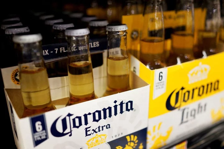 Corona beer-maker Constellation Brands lifts profit forecast on higher pricing